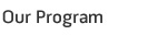 Our Program